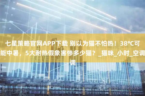 七星策略官网APP下载 别以为猫不怕热！38℃可能中暑，5大耐热假象害惨多少猫？_猫咪_小时_空调